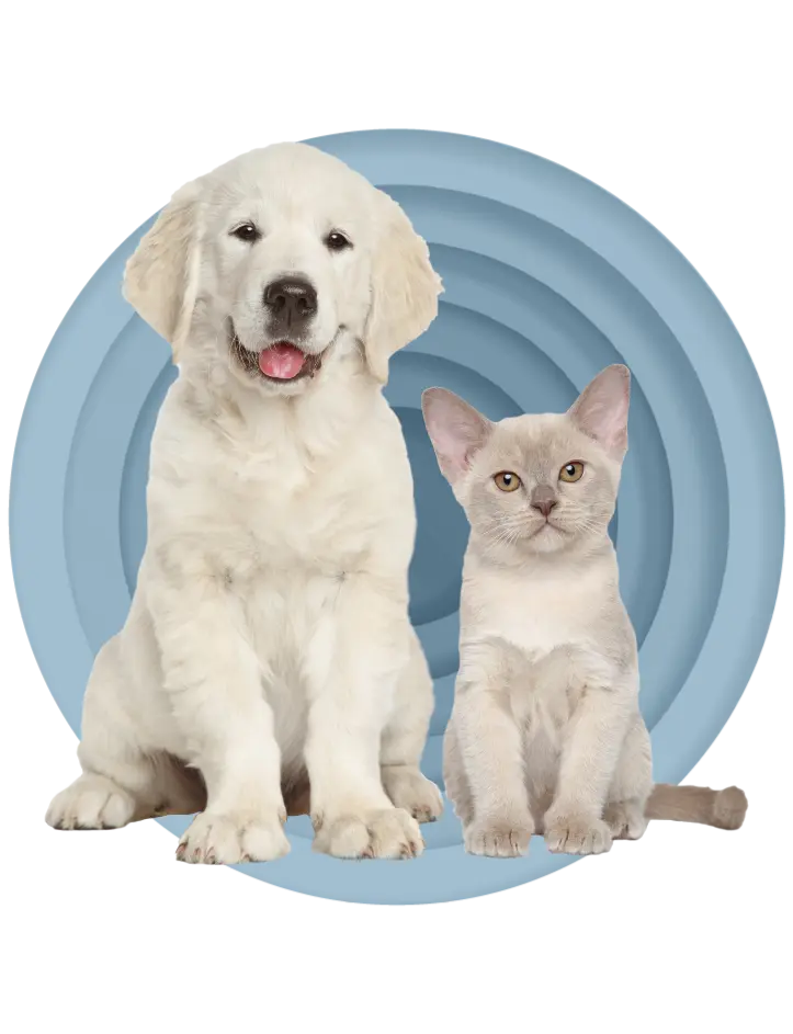 Qinux Wuffux product
